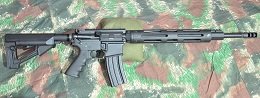 DPMS3G1.JPG