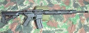 DPMS_mini_1.JPG