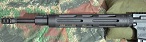 DPMS_mini_5.JPG