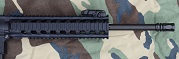 MP15-22_7.jpg