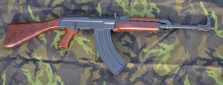 gazela58.JPG
