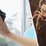 Un produs curăță geamurile și le face să strălucească, scăpând